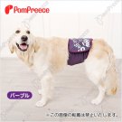 Gent's manner belly band (Purple) - Big Dog Size