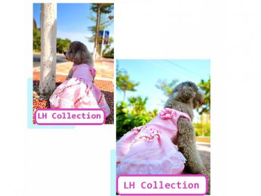 Fancy Pet Dress Special Occasion Wedding Holidays
