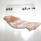 22.0 Grams #28 of Natural AAA+ Rich Gold and Silver Vein
