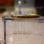 2009-P Gem BU ERROR Zachary Taylor Presidential Dollar.