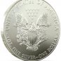 2013 1 oz American Silver Eagle