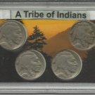 Buffalo Nickel Series Set Collection