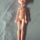 Monster High Doll Girl CAM Create a Pink Dragon Vampire