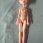 Monster High Doll Girl CAM Create a Pink Dragon Vampire