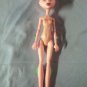 Monster High Doll Girl CAM Create a Pink Dragon Vampire