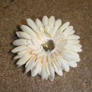 Cream Gerber Daisy