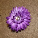 Purple Gerber Daisy