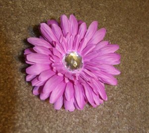 Light Purple Gerber Daisy