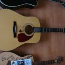 Squier Acoustic Guitar