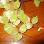 Vintage 40's English Rose Red Tip Leaf Hat Making Millinery Supply