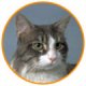Worms/Parasites/Heartworm