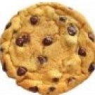 Gourmet Homemade Chocolate Chip Cookie
