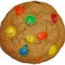 Gourmet Homemade M&M Cookies