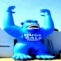 CRAZY  GORILLAS