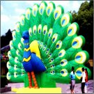 PEACOCK BIRDS ANIMALS WILDLIFE CARRIBEAN DIAMONDS SIGNS EXOTIC BIRDS RAINFOREST JUNGLE INFLATABES