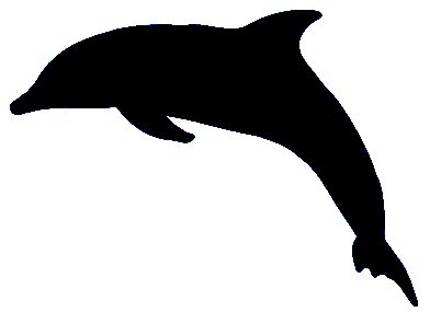 Dolphin Make Up Stencil- 5 Pack