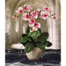 Triple Mini Phalaenopsis Silk Flower Arrangement - Pink