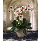Triple Mini Phalaenopsis Silk Flower Arrangement - White Dubonet