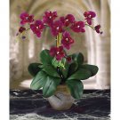 Triple Mini Phalaenopsis Silk Flower Arrangement - Wine