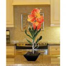 Vanda W/Classic Black Vase