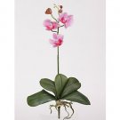 Mini Phalaenopsis Silk Orchid Flowers-Lavender