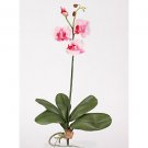 Mini Phalaenopsis Silk Orchid Flowers-Pink
