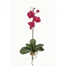 Mini Phalaenopsis Silk Orchid Flowers-Wine