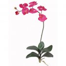 Phalaenopsis Orchid Silk Flowers-Beauty