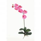 Phalaenopsis Orchid Silk Flowers-Dark Pink