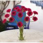 Gerber Daisy Liquid Illusion - Beauty