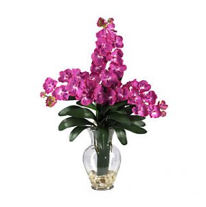 Triple Vanda Orchid Liquid Illusion - Beauty