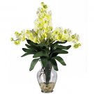 Triple Vanda Orchid Liquid Illusion - White