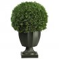 Cedar Ball Topiary (Indoor/Outdoor)