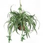 Spider Silk Hanging Basket