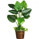 Taro Silk Plant(Real Touch)