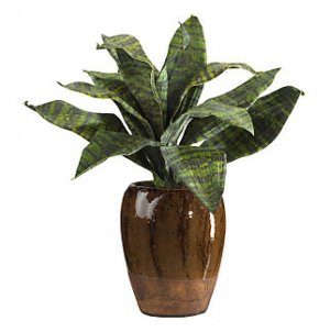 Tiger Leaf w/Ceramic Vase Silk Plant