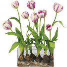 Tulips w/Rectangle Vase Silk Flowers - Raspberry