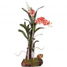 Silk Arrangement w/Root Base - Wild Orchid