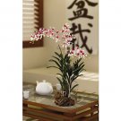 Vanda with Root Base Silk Orchid Flowers - Cream Lavender