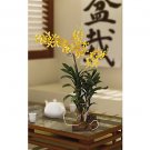 Vanda with Root Base Silk Orchid Flowers - Yellow Brown