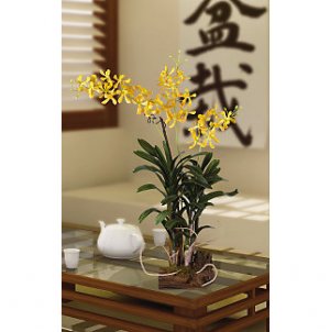 Vanda with Root Base Silk Orchid Flowers - Yellow Brown
