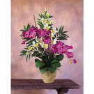 Double Phal w/Dendrobium Silk Orchid - Orchid Cream