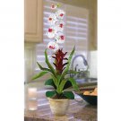 Star Bromeliad w/Combo Silk Orchid - White