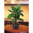 22" Banana Silk Palm Tree w/Black Vase