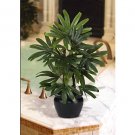 20" Raphis Silk Palm Tree w/Black Vase