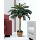 4Ft Sago Silk Palm Tree