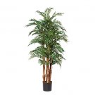 5Ft Parlor Palm Silk Tree