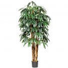 6Ft Raphis Palm Silk Tree