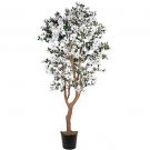 5Ft Dogwood Silk Tree