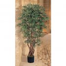 5Ft Ruscus Silk Tree
